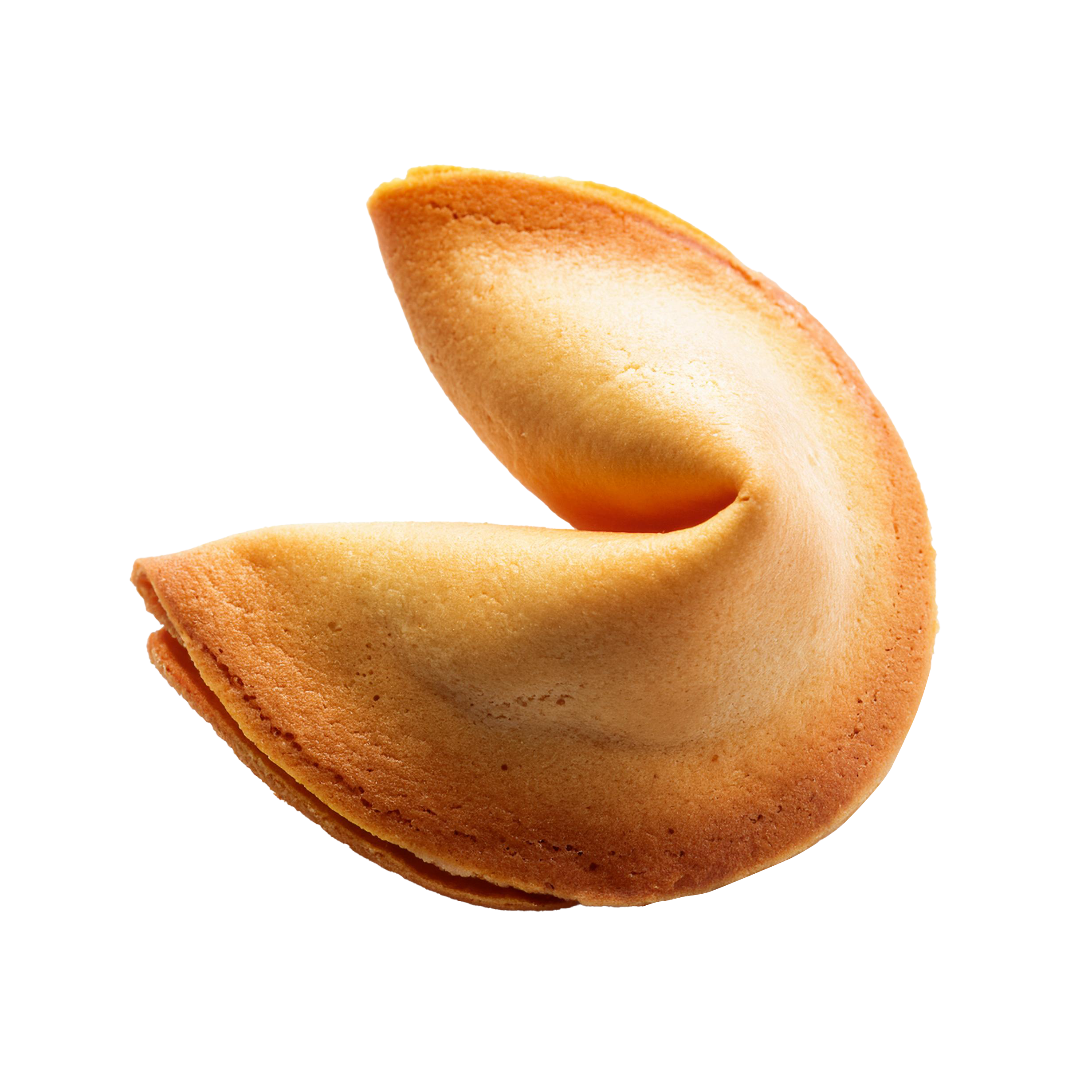 Fortune Cookie